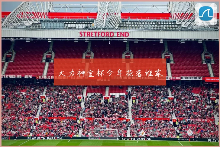 大力神金杯今年花落谁家