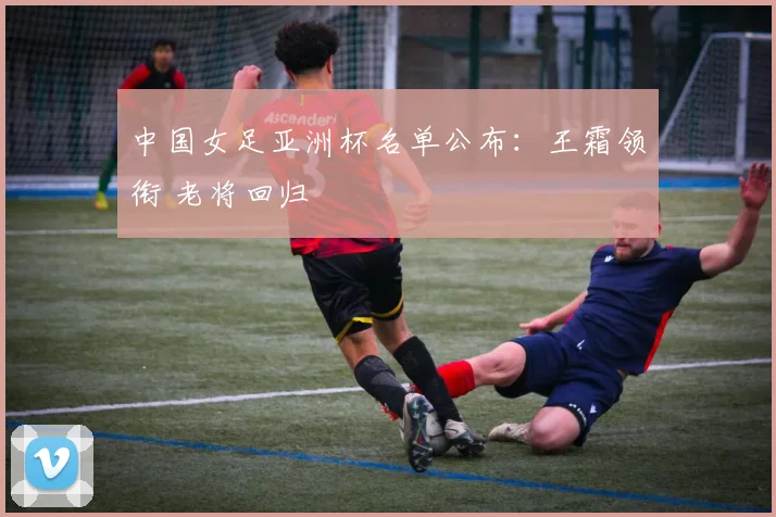中国女足亚洲杯名单公布：王霜领衔 老将回归